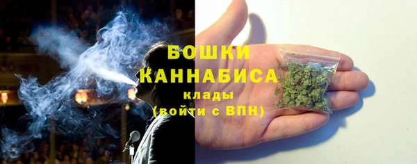 дмт Пестово