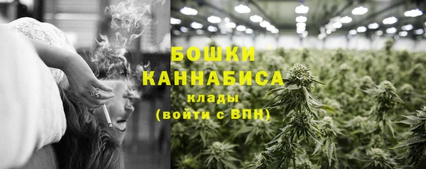 молекула духа Покачи