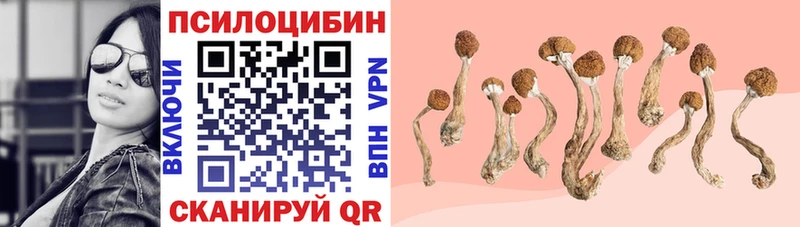 Галлюциногенные грибы Cubensis  Симферополь 